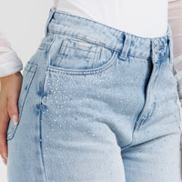 Jean Axspen Wide Leg Brillos Ax-2933