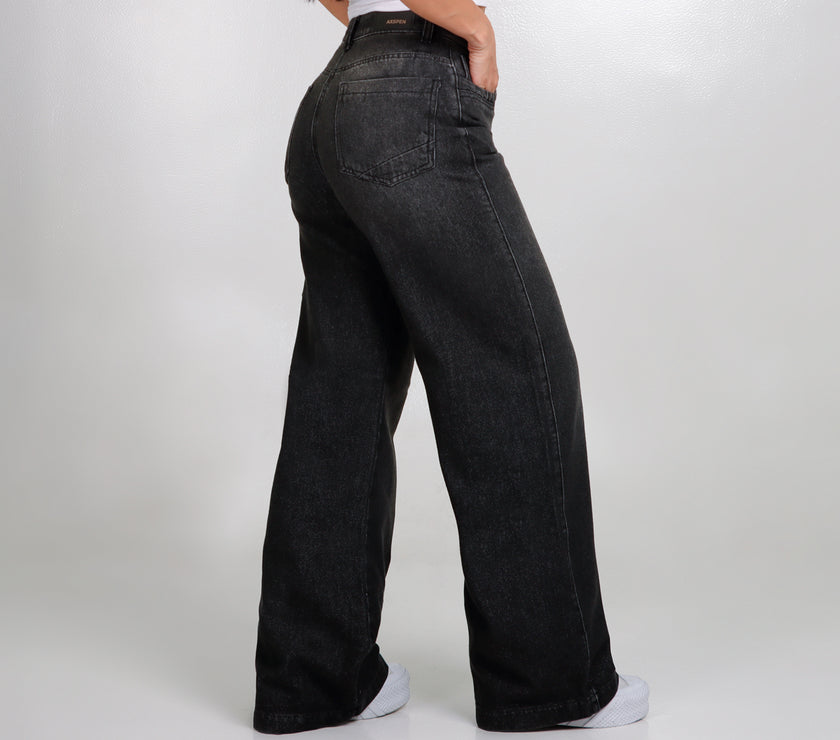 Jean Axspen Wide Leg Ax-2710 Gris
